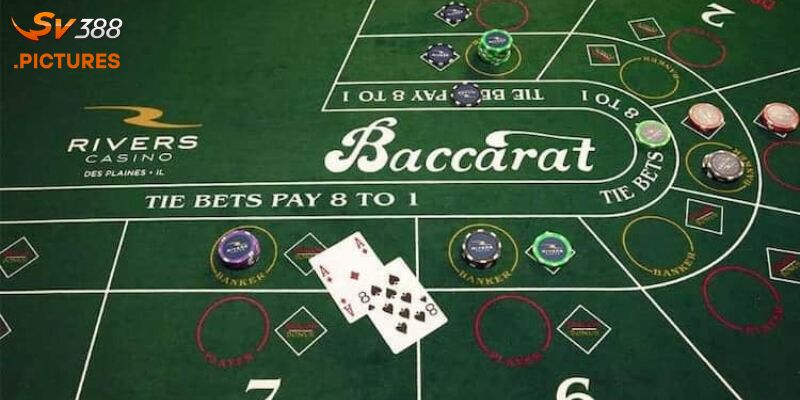 Chơi baccarat SV388 từ A đến Z