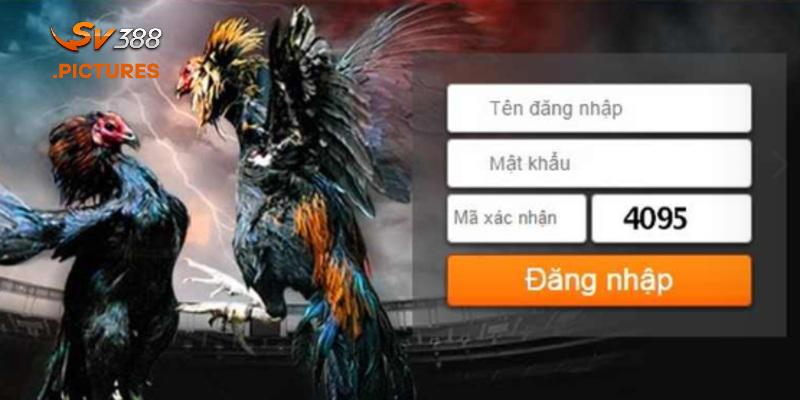 Đăng nhập SV388 để chơi gì